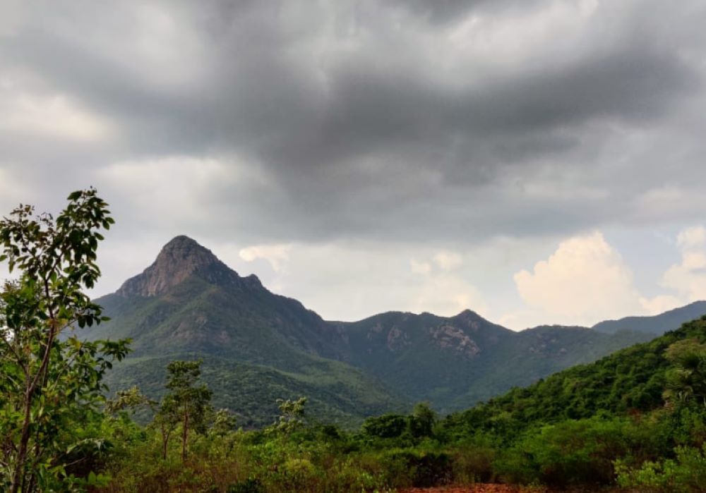 Nagalur - Sanniyasimalai Peak